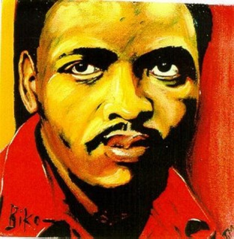 Steve Biko Warned Us That the Most Potent Weapon of Resistance Is the Education of Our Youth